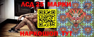 гидра Гагарин