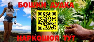 крисы Гатчина