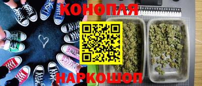 крисы Гатчина