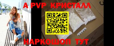 крисы Гатчина