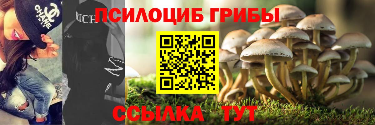 Галлюциногенные грибы Psilocybe  Вход с VPN  Муравленко 